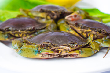 Green crab, oranges and vegetables on a white plate ready to be cooked.