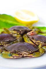 Green crab, oranges and vegetables on a white plate ready to be cooked