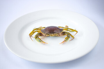 Green crab on a white plate ready to be cooked
