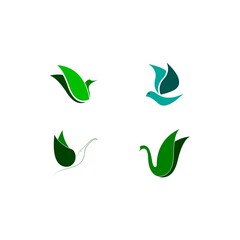 bird logo illustration