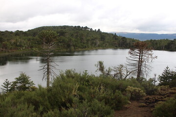 beautiful landscape of patagonia argentina