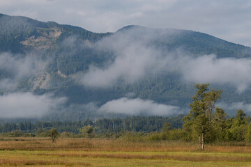 a blue sky above Alp mountains covered with morning mist and trees in a cozy Bavarian village on a sunny day