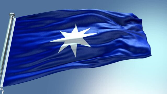 Bandera mapuche Wu&ntilde;elfe.