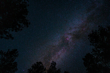 Fototapeta na wymiar starry night sky near flagstaff