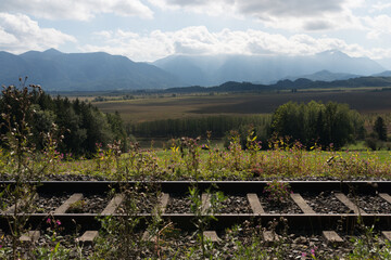 Railway tracks and the bavarian Alp mountains in the background in a moorland Murnauer Moos in a cozy rural countryside on a sunny day