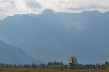 Old wooden high seat on a field and the bavarian alps in the background in a cozy rural countryside on a sunny day