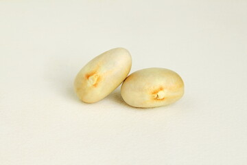 jackfruit seeds on white background