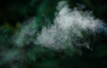 Obraz na płótnie Canvas cigarette smoke on the background of greenery beautiful clubs