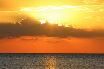 Fototapeta premium sunset over the sea