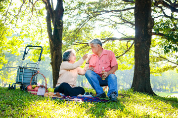 Asian elderly couple picnic in the park They sat on the grass and had baskets of fruit and bread lying next to them. They are enjoying their vacation. The concept of living in retirement to be happy.