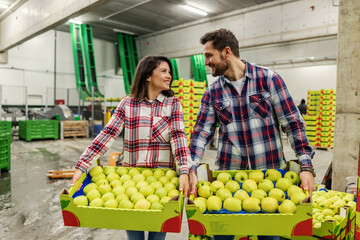 Workers carry crates with apples in factory.