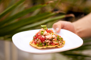 Mano sosteniendo tostada de ceviche frente a palmera 