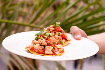 Mano sosteniendo plato de tostadas de camarón frente a palmera 