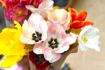 Fototapeta na wymiar Many light pink and white tulips background