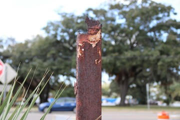 Fototapeta premium Rust