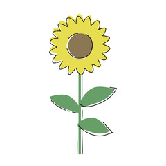 ひまわりのイラスト