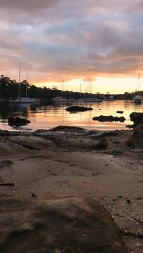 Morning Sun Vertical Video