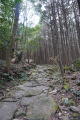 熊野古道