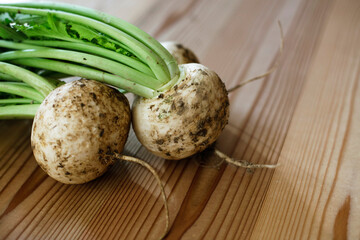 Fresh white turnip greens sitting on the wooden table. Beautiful soft sunlight.