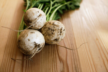 Fresh white turnip greens sitting on the wooden table. Beautiful soft sunlight.