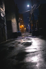 Chicago Alley at Night © Javier L. Cervantes