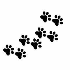 dog and cat footsteps pattern