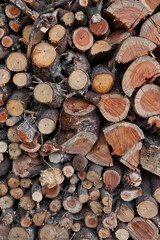 Stacked firewood - 493875384