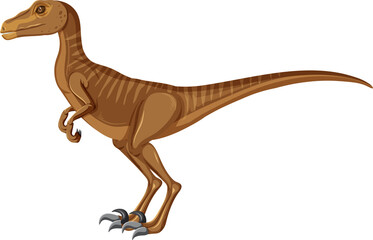 Velociraptor dinosaur on white background