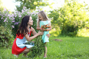 Fototapeta premium Summer landscape and a girl on nature walk in the countryside.