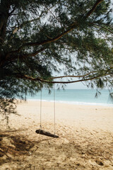 A tree with a swing next to a beach with a view of the sea