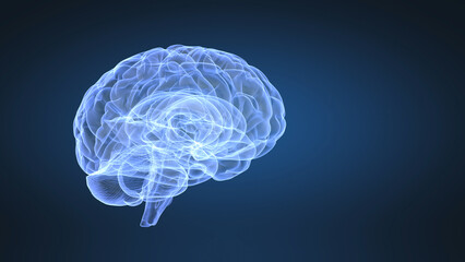 Abstract animation of human brain