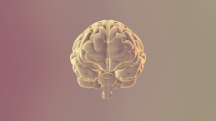 3d medical background with brain