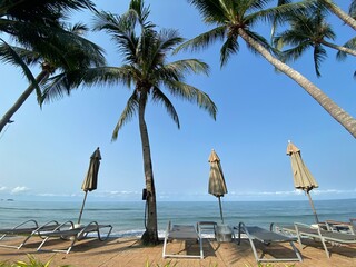 beach and sea, Holiday and vacation, nice tropical beach with palms, White clouds with blue sky