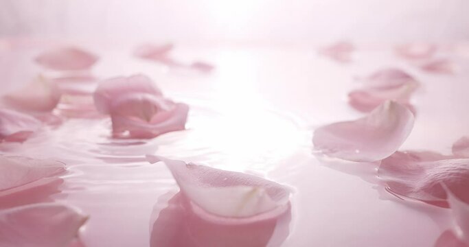 Calm clear water with falling pink rose petals