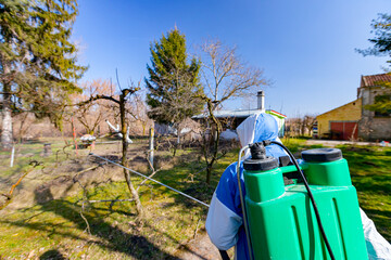 A back view on gardener who is wearing protective overall sprinkles fruit trees with long sprayer in the orchard