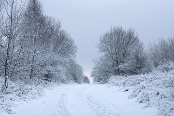 Country road in the countryside.