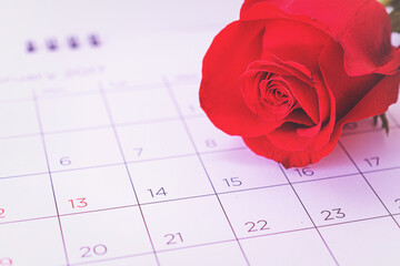 Rose flower with calendar, day14 a valentines day