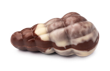 Chocolate sweets shaped as seashells isolated on white background