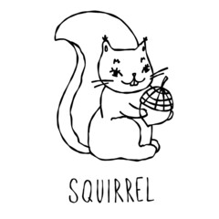 Silhouette line outline forest animal isolated text. Doodle outlines background. Squirrel with a nut.