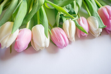 Pink and white tulips in close-up