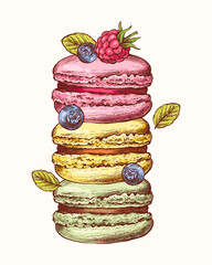 Vector collection of hand drawn colorful cake macaroons. French pastry macaron. Blueberry, raspberry, mint. Highly detailed collection dessert, macaroon, sweets, menu design, restaurants, shop
