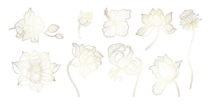 Gold outline flowers. Asian golden lotus, yoga floral bloom art elements. Indian flower, orchid and leaves. Oriental exotic plants nowaday vector set