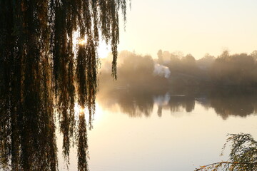 Sunrise over the lake. Autumn willow. Autumn landscape. The sun's rays break through the willow branches.