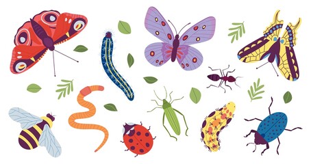 Insect characters. Coloring doodle insects, simple caterpillar, butterfly and bug. Funny trendy beetle and ant, isolated garden wild animals decent vector set