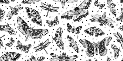 Moth butterfly pattern. Seamless moon boho vector. Celestial magic abstract mystic design. Gothic witch drawing. Print with luna astrology moth pattern. Occult animal illustration mystical background