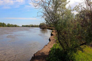 Beautiful landscape in the Volga Delta. Astrakhan. Astrakhan region. Russia. Spill on the river.