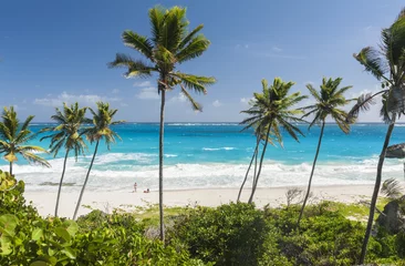 Fototapeten Bottom Bay beach in Barbados © Fyle