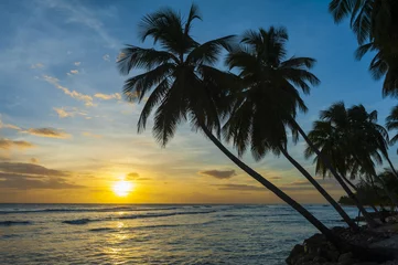 Deurstickers Barbados and sunset © Fyle