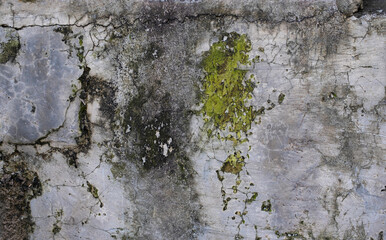 Old Concrete Wall Texture background and wallpaper