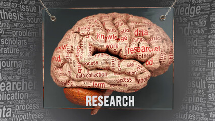 Research anatomy - its causes and effects projected on a human brain revealing Research complexity and relation to human mind. Concept art, 3d illustration
